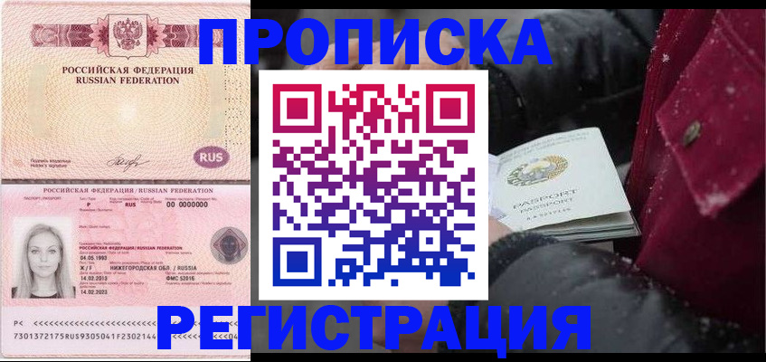 прописка для школы в Луге